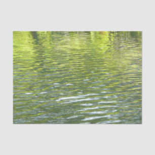 Papier Mousseline Eaux d'Oak Creek Nature jaune et verte Photo
