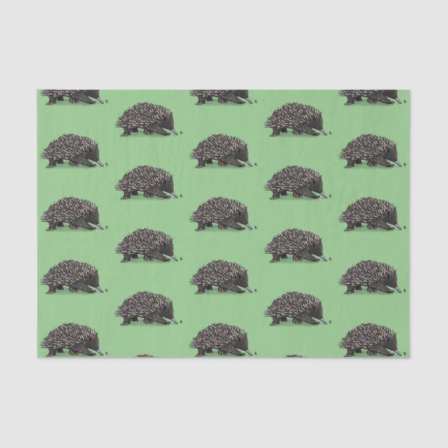 Papier Mousseline Echidna mignonne avec dessin animé d'abeille (Recto)