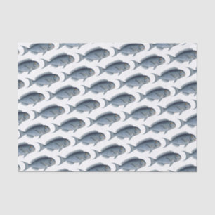 Papier Mousseline École de papier de tissus de poisson bleu