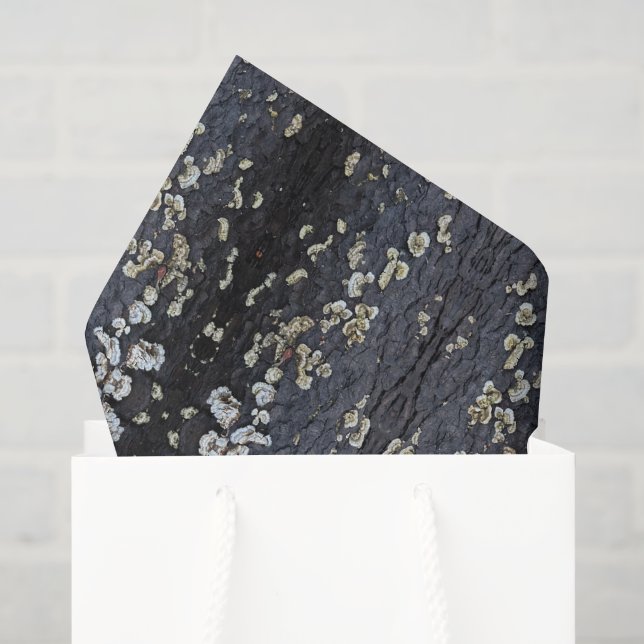 Papier Mousseline Écorce d'arbre à dentelle noire (Sac cadeau)