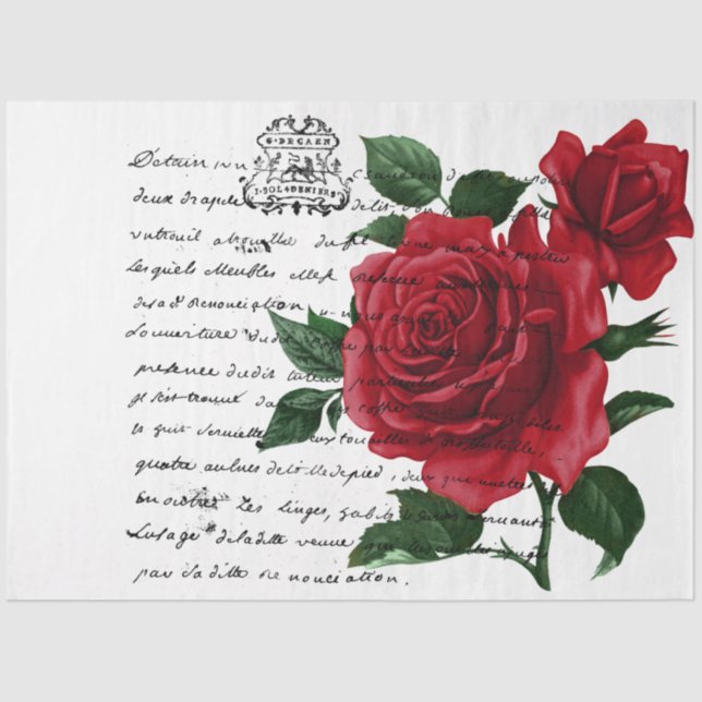 Papier Mousseline Écriture manuscrite française et Red Rose Series D (Recto)