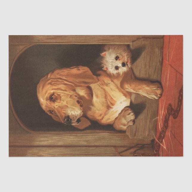 Papier Mousseline Edwin Henry Landseer | Dignité et impudence (Recto)