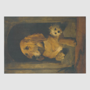Papier Mousseline Edwin Landseer  Dignité et confusion des puds