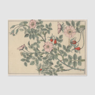 Papier Mousseline Églantier, série de botanique d'Eugène Grasset