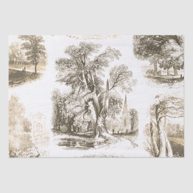 Papier Mousseline Elégant Beige Vintage French Country Toile (Recto)