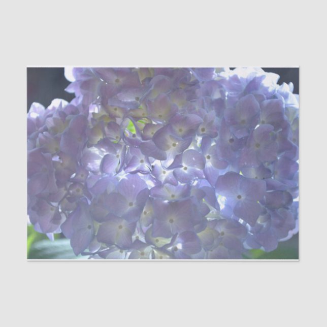 Papier Mousseline Élégant boho poussiéreux floral violet clair fleur (Recto)