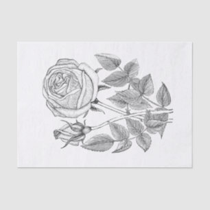 Papier Mousseline Elégant Botanique Vintage noir blanc Rose