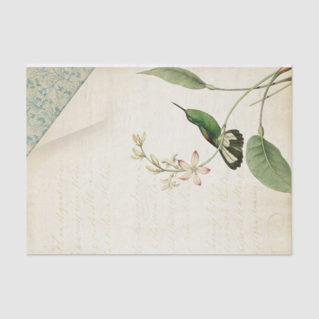 Papier Mousseline Élégant Ephémère de colibri (Recto)