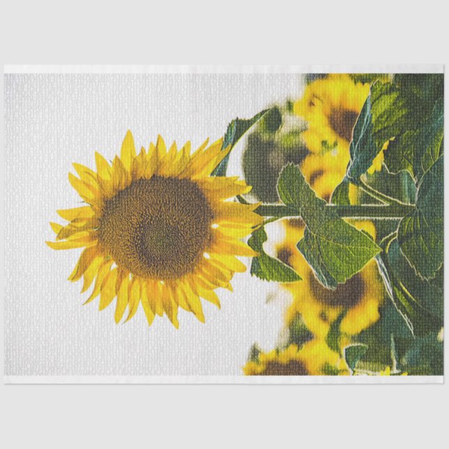 Papier Mousseline Élégant Floral Moderne (Recto)