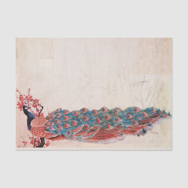 Papier Mousseline Elégant Peacock (Recto)