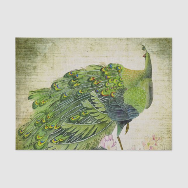Papier Mousseline Elégant Peacock Vert Vintage (Recto)