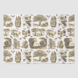 Papier Mousseline Elégant Vintage Noir Blanc Pays Toile Beige