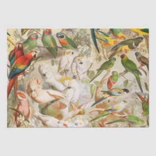 Papier Mousseline Élégant Vintage Oiseaux tropicaux Parrots