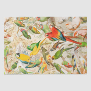 Papier Mousseline Elégant Vintage Tropical Birds Parrots Découpage