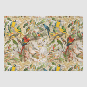 Papier Mousseline Elégant Vintage Tropical Birds Parrots Découpage
