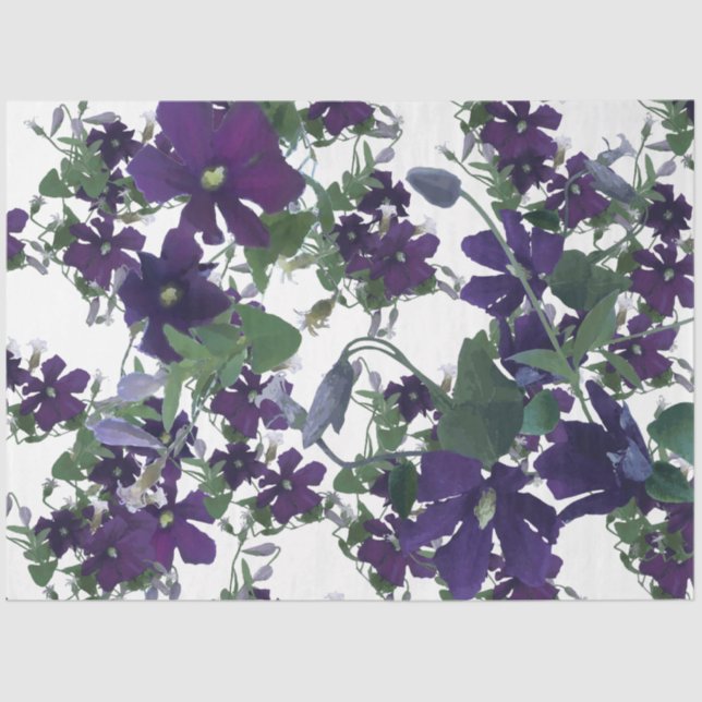 Papier Mousseline Elégante aquarelle Clematis Floral (Recto)
