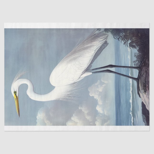 Papier Mousseline Elégante aquarelle Great Egret Découpage Oiseau Ar (Recto)