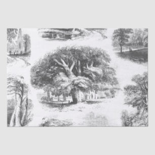 Papier Mousseline Elégante Toile Vintage noir blanc grand arbre