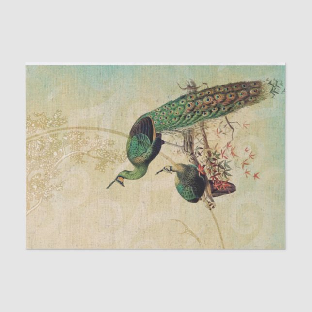 Papier Mousseline Elégants Peacocks Vintages (Recto)
