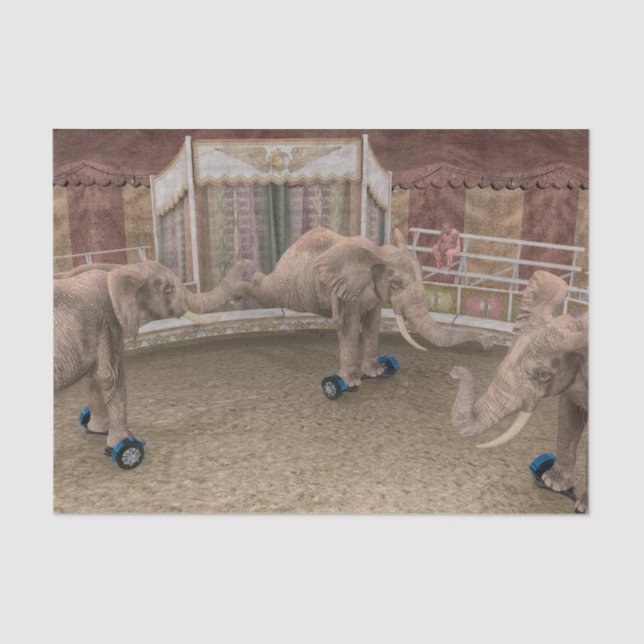 Papier Mousseline Eléphants de cirque amusants (Recto)