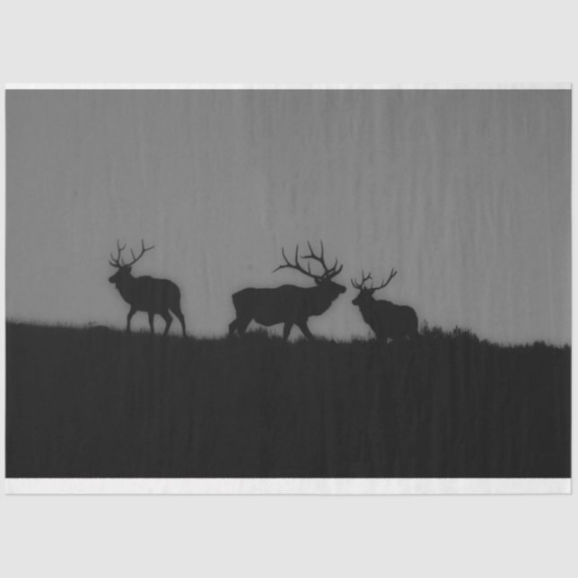 Papier Mousseline Elk 1 (Recto)