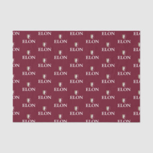 Papier Mousseline Elon Diplômé 20XX