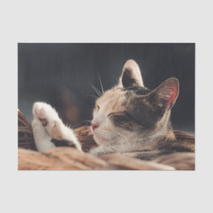 Papier Mousseline Enfant de Kitty Dormir
