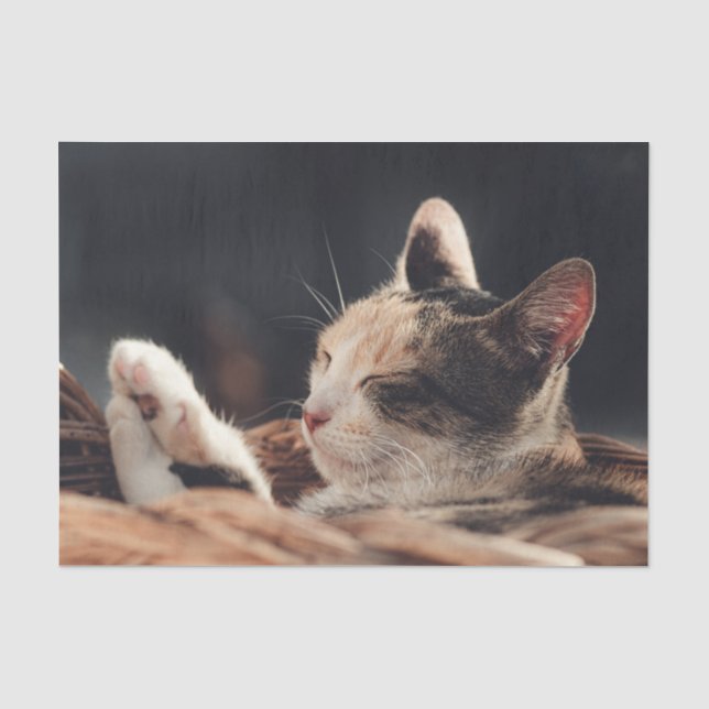 Papier Mousseline Enfant de Kitty Dormir (Recto)