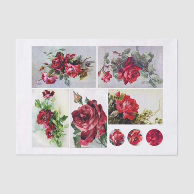 Papier Mousseline Ensemble authentique (pas AI) de Klien (1820-1929) (Recto)