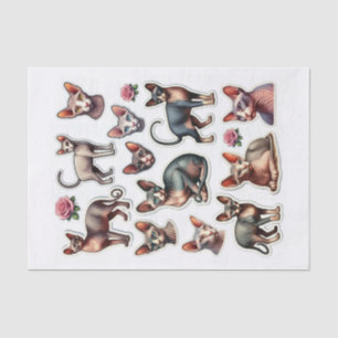 Papier Mousseline Ensemble de chats Sphynx sans cheveux