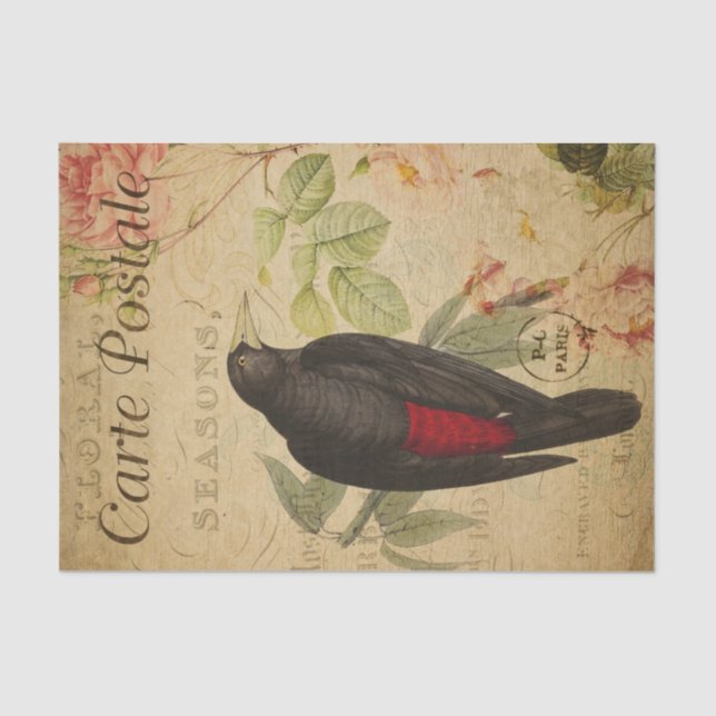 Papier Mousseline Ephemera Black Red Bird Rose Roses Pink Découpage (Recto)
