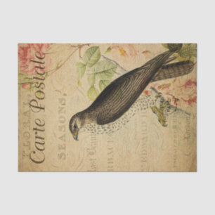 Papier Mousseline Ephemera Buzzard Bird of Prey Découpage