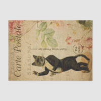 Ephemera Carte Postale Française Danse Chat Découp