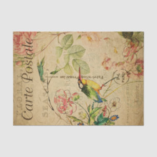 Papier Mousseline Ephemera Carte postale Française Kingfisher Bird D