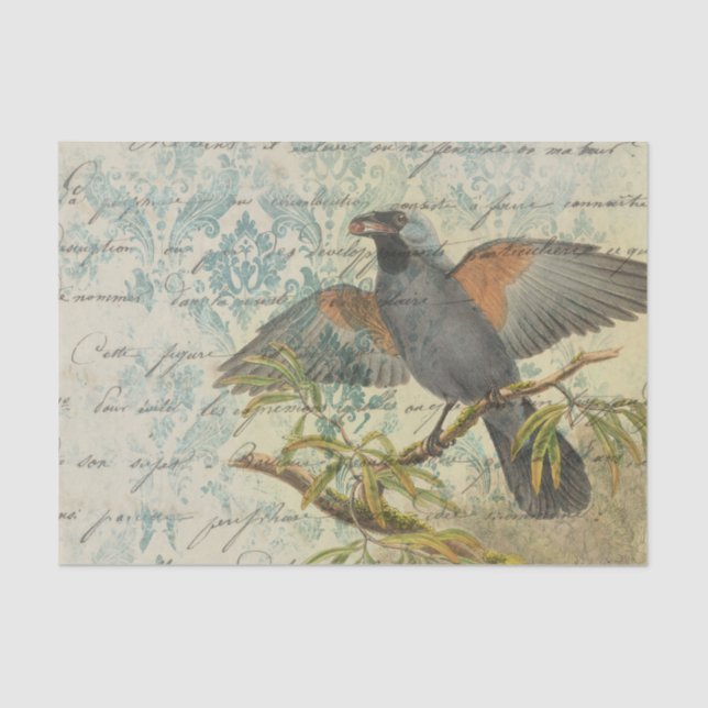 Papier Mousseline Ephemera Damask Bird (Recto)