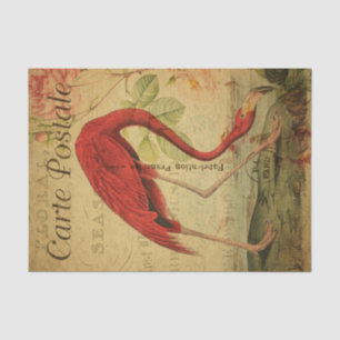 Papier Mousseline Ephemera Flamant rose de carte postale française F