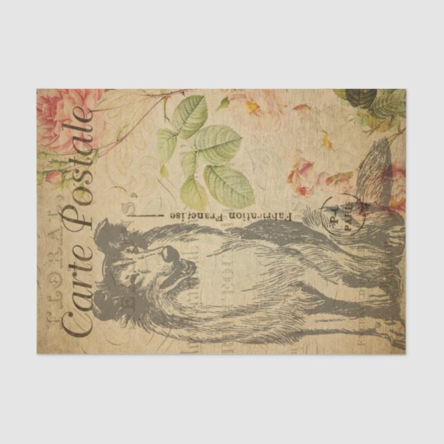 Papier Mousseline Ephemera French Carte Postale Rough Collie Chien D (Recto)