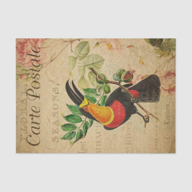 Papier Mousseline Ephemera French Tropical Toucan Bird Decoupage (Recto)