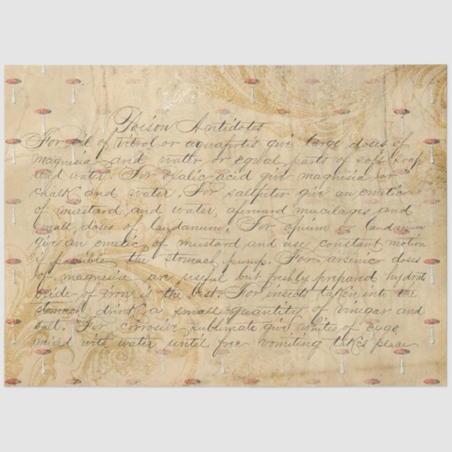 Papier Mousseline Ephémère aux champignons série de design #5 (Recto)