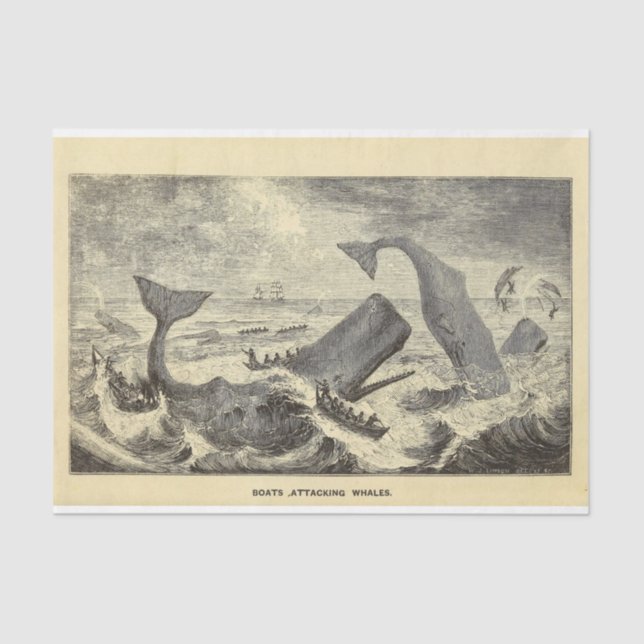 Papier Mousseline Ephémère de baleine vintage Découpage nautique (Recto)
