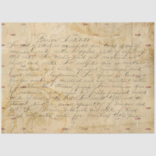 Papier Mousseline Ephémère de champignons série de conception #3 pap (Recto)