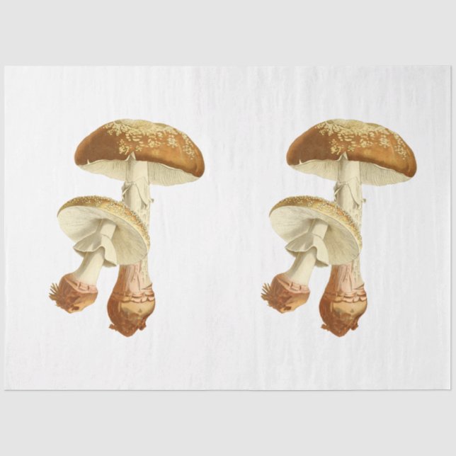 Papier Mousseline Ephémère de champignons série de design #26 (Recto)