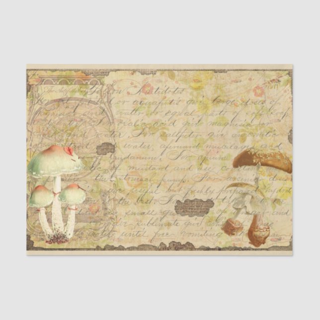 Papier Mousseline Ephémère de champignons vintages série 4 (Recto)