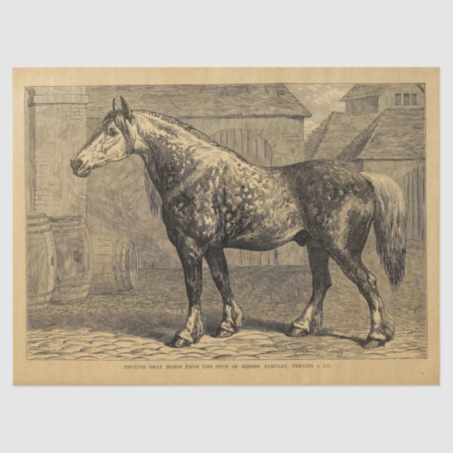Papier Mousseline Ephémère de cheval anglais Découpage Vintage (Recto)