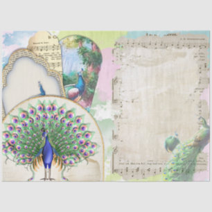 Papier Mousseline Ephémère de paon 6