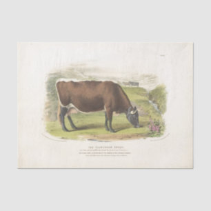 Papier Mousseline Éphémère de pâturage de vache Brown Découpage ferm