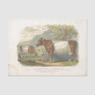 Papier Mousseline Éphémère de vache blanche Brown Découpage ferme Vi