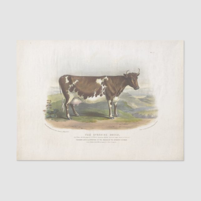 Papier Mousseline Éphémère de vache tachetée Brown Découpage ferme V (Recto)