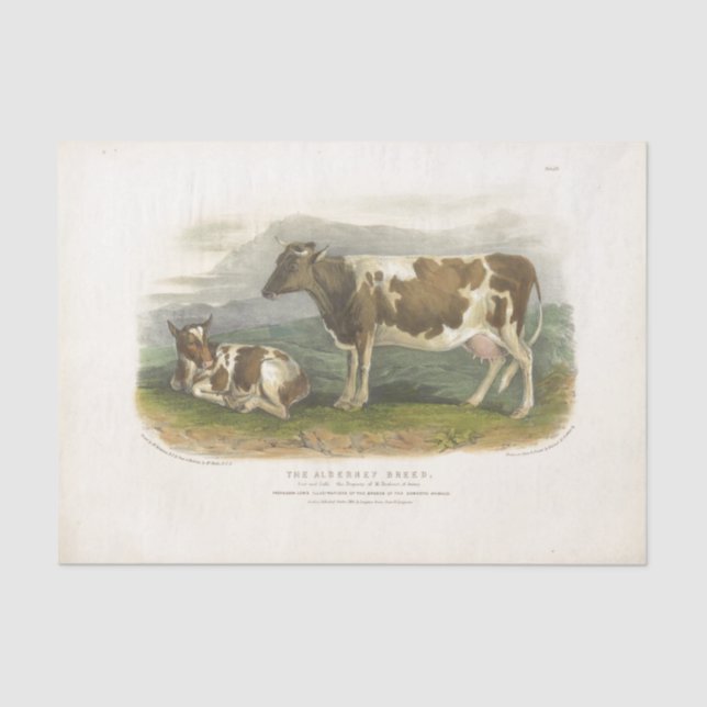 Papier Mousseline Éphémère de vaches tachetées Découpage Ferme Vinta (Recto)