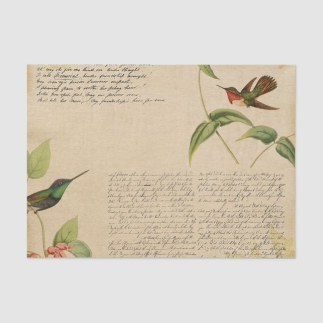 Papier Mousseline Ephémère des colibris vintages (Recto)
